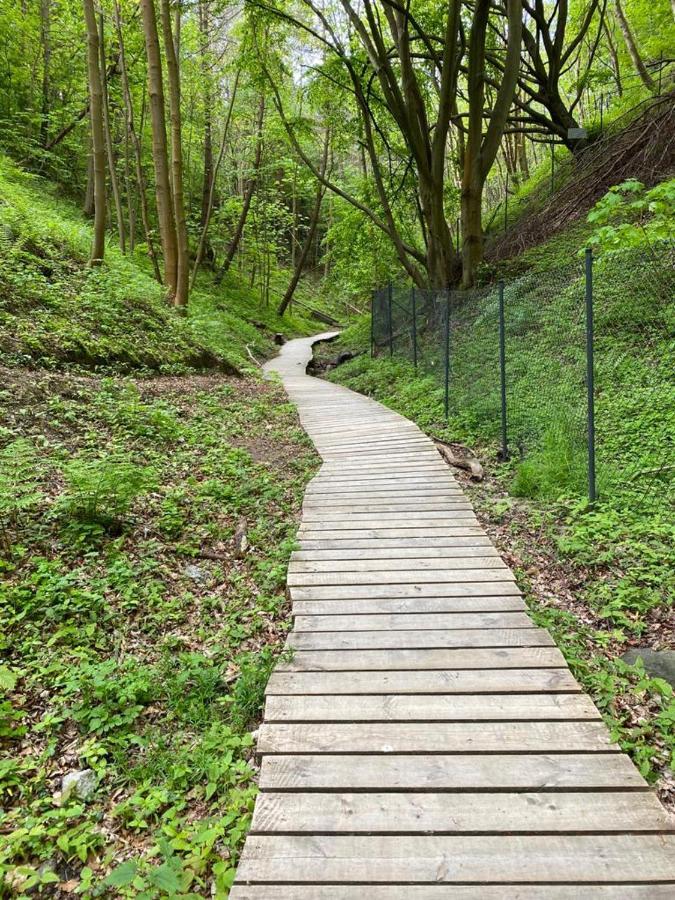 Zielone Rozewie Park ภายนอก รูปภาพ